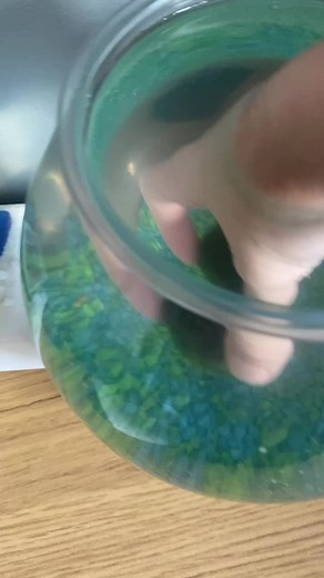 Miss ball bowl clean!#foryoupage #pet #water #blowmeup #viral #mossball #marimo #bowl #rocks #clean #mossballinbowl