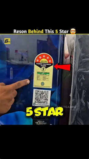 Why is best only 5 Stars 🤯 | FactGabru #shorts