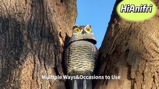 Watch Realistic owl decoys to scare birds away! on Amazon Live