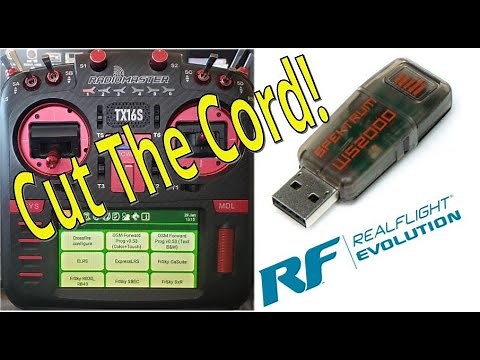Spektrum WS2000 and RealFlight Evolution Transmitter Setup