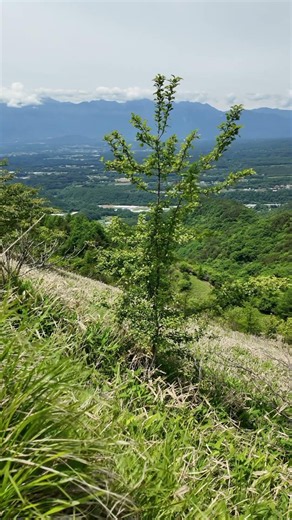 飯盛山 南牧村 長野県｜Mountain Views in Nagano Japan
