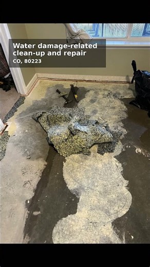 Water damage-related clean-up and repair in Denver, CO | Abbotts Cleanup & Restoration