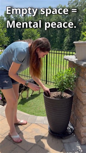 Why Failure In The Garden Is Still A Sign of Progress