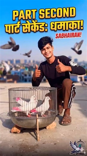 ￼Paath 2 😱Aap Sabhi Ko Hairan😱 Kar Dega Aap Dekhiae😱🕊️😲#trending #pigeon #shortvideos#tiktok #trip