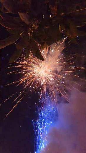 Master July 4th 100 shots Firework #1