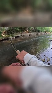 Streamer Fishing Tips pt2. Watch the full video on our YouTube channel. . . . . #rootriverrodco #flyfishing #troutfishing #streamerfishing #flyfishingguide #flyfishingtips | Root River Rod Co.