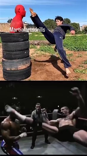 Flying Reverse Kick | Martial Arts