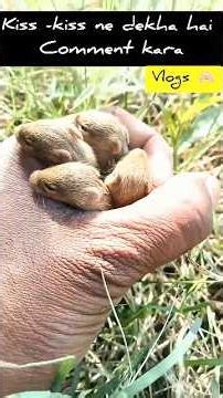 Farming vlogs #shorts #vlog #funny