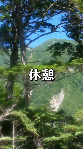 Hiking to Mt. Hijiri in the Southern Alps. I could see Mt. Hijiri. #SuspensionBridge #HijiriHiraC...