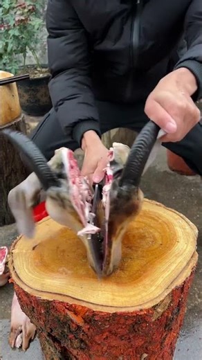 Faster Knife Skills for Quick Goat Head Cutting 1033 #knifeskills #butcher #goat #shorts
