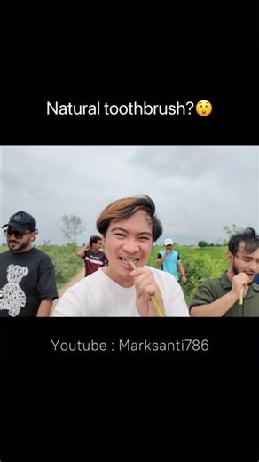 3 Reasons Why Miswak Is Better Than Your Toothbrush 🧠🪥