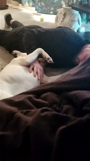 elsa is in heaven. loves her Jake..