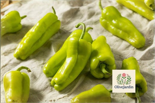 25 Cubanelle Sweet Pepper Seeds – Italian Frying Pepper Vegetable Seeds for Planting - Etsy