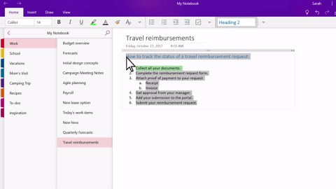 在 OneNote 中设置笔记格式
