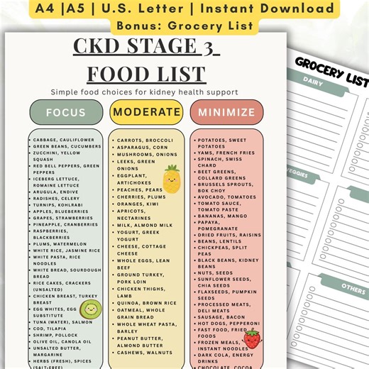 CKD Stage 3 Food List Printable, Kidney Disease Diet PDF, Low Sodium Potassium Phosphorus, Renal Diet Guide, Grocery List - Etsy