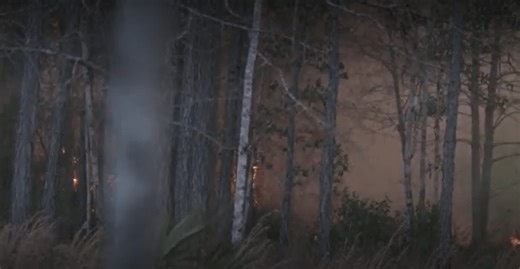 Calhoun County releases Mossy Pond wildfire update