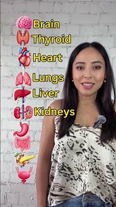 Do you know these body organs? 🧠 #learnenglish #vocabulary #organs #englishteacher