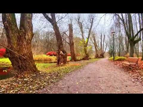 Walking Day 1 #walkingsimulator #walking #park #relax