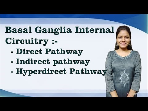 Basal Ganglia Internal Circuitry- Direct, Indirect & Hyperdirect Pathway I Neurophysiology