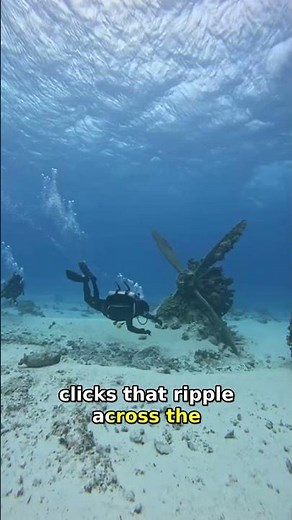 Bloop Mystery Solved: Iceberg Collapse Revealed! 🚢🔊