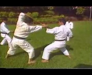 Bassai Sho Kenneth Funakoshi inc. Bunkai