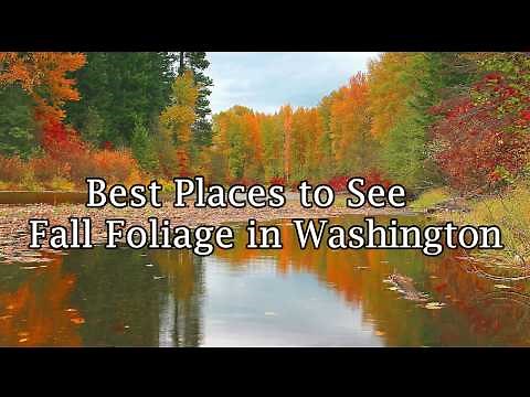 Best Places to See Fall Foliage in Washington State