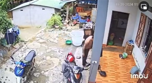 4.5M views · 10K reactions | Chồng đi làm trên vùng sâu vùng xa đột...