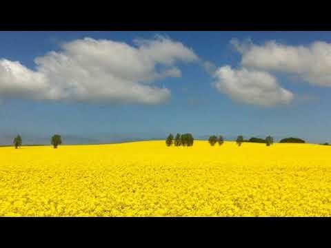 مناظرة: ( هل خلق إلههم الوجود من العدم ) هذا ما سنعرفه عند الساعة التاسعة بتوقيت برلين.