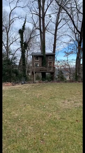 Unexpected Visitor in My Treehouse | Real Life Story