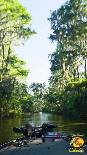 Gear up for your best year yet with fishing equipment from Cabela's. | Cabela's