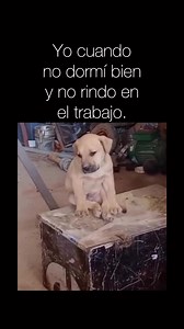 1.6K views · 41 reactions |  | Not My Problem | Facebook