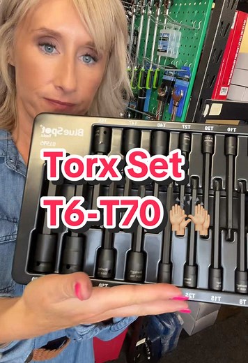 Comprehensive Torx Set T6-T70 for Mechanics
