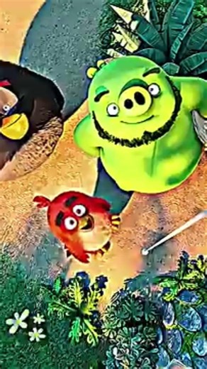 angry birds edit #angrybirds #edit