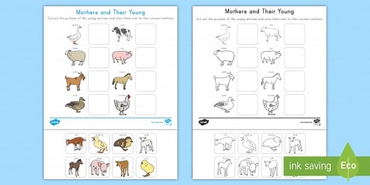 Mothers and Their Young Animal Matching Cut and Paste Worksheet for K-2nd Grade