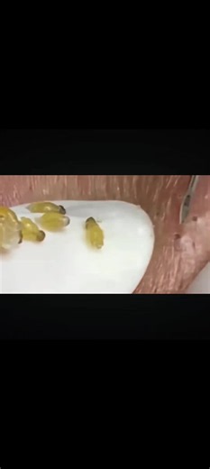 Satisfying 😌 #satisfy #viral #asmr