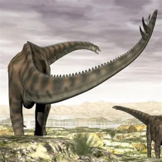 John (Not My Real Name) Dinosaur on Instagram: "SPINOPHOROSAURUS Spinophorosaurus is a genus of sauropod dinosaur that lived in what is now Niger during the Middle Jurassic period. The first two specimens were excavated in the 2000s by German and Spanish teams under difficult conditions. The skeletons were brought to Europe and digitally replicated, making Spinophorosaurus the first sauropod to have its skeleton 3D printed, and were to be returned to Niger in the future. Together, the two specim