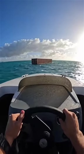 👉 You won’t believe what was hidden inside this … 😳📦🌊 #HiddenFinds#oceanmystery#secretcontainer#unexpectedfind#treasurefound#luckymoment#shockreveal#oceanexplore#viralvideo#trending#fyp#foryou#discovery#fyp #oceandiscovery #mysterycontainer #wouldyourather #storytime