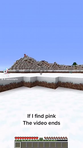 #minecraft server ip is Mc.playminetale.com