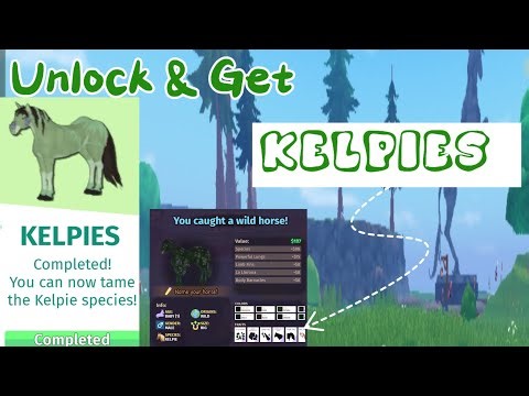How To Unlock KELPIE TAMING & Fish For Kelpies! 🎣