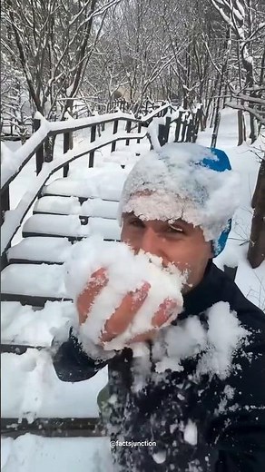 What's REALLY the Difference Between Ice and Snow