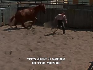 Remembering Phar Lap: A Horse Racing Legend