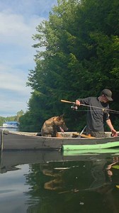 258K views · 9.6K reactions | Tommy Gauthier on Reels | Facebook