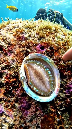 Scuba Diver Finds Iridescent Treasure in the Reef 🤿🌊 #shorts #ai #deepsea