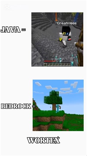 JAVA SKELETON VS BEDROCK SKELETON #minecraft #shorts