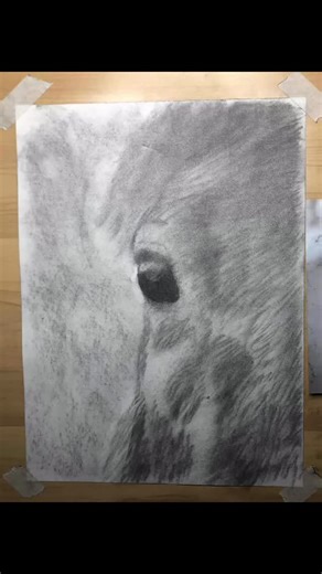 “Soft gaze” Charcoal 11x14 on Strathmore 300 series paper. #charcoal #charcoalequineart #charcoalart #charcoaldrawing #artistofinstagram #equine #horseart #horse #blackandwhite #horses #blackandwhiteart | Art by Cody