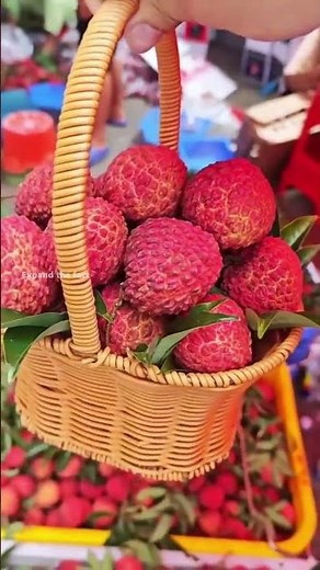 World’s Most Unique Fruits Explained 🫐🍉🍌