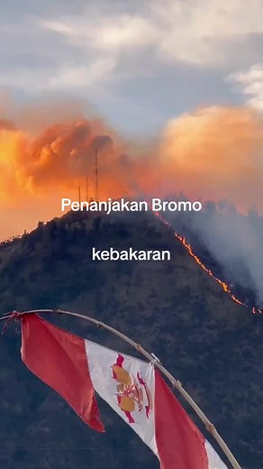 #bromo #bromokebakaran #tamannasionalbromotenggersemeru #bromotenggersemeru
