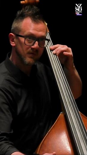 Vivaldi – Spring | NZSO ft. Anna van der Zee #Vivaldi #FourSeasons #Spring