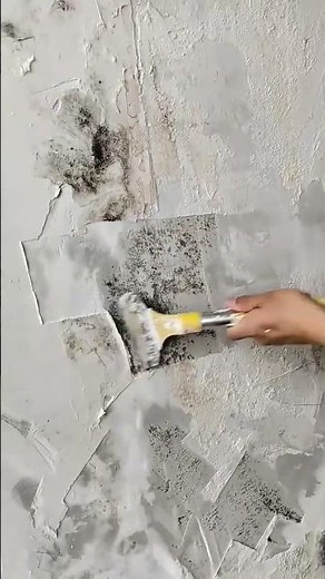 Effective Ways to Permanently Remove Mold from Walls