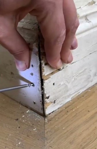 Fußleisten auf Gehrung sägen/ Leisten weiß streichen/ Leisten reparieren/ Leisten verlegen/ Fugenkit